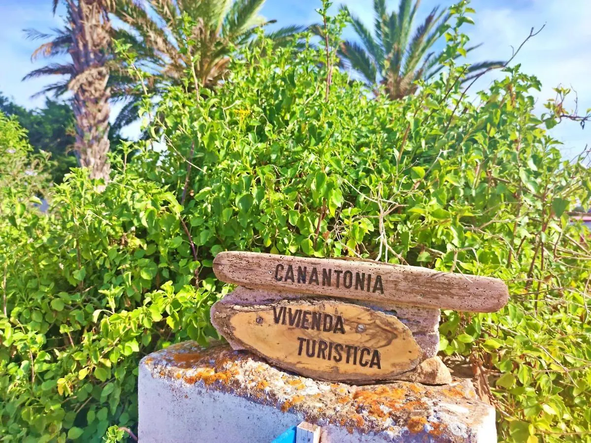 サン・フェラン・デ・セス・ロケス Ca N'Antoniaヴィラ スペイン